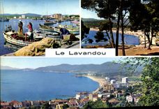 MODERN CARD Lavandou the Bormes port Mimosas FAviere