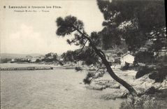 VINTAGE POSTCARD Lavandou has the Pines