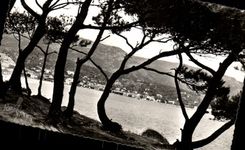 MODERN CARD Lavandou Seen from of Gouron