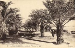VINTAGE POSTCARD Mourillon Winged of the Palm trees