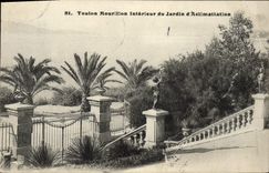 VINTAGE POSTCARD Toulon Mourillon Interior of the Garden of Aclimatation