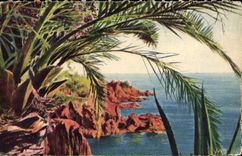 CPA Cote D'Azur Les Rochers du Trayas