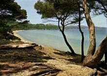 MODERN CARD Ille De Porquerolles Beach of Courtade