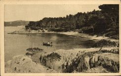 CPM Ile De Porquerolles de Robert