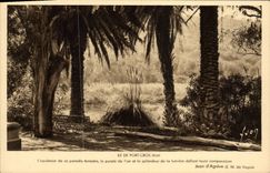 CPM Ile De Port Cros 