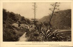 CPM Ile De Port Cros 