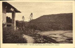 POSTAL MODERNA raza a campo través portuaria el verdor incomparable del sojn espléndido de la bahía