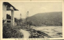POSTAL MODERNA raza a campo través portuaria el verdor sano incomparable de la bahía espléndida