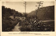 CPM Ile de Port Cros 