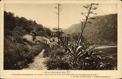 CPM Ile de Port Cros 