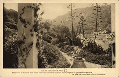 CPM Ile de Port Cros