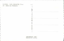 CPA St Cyr Les Lecques Allee des Palmiers