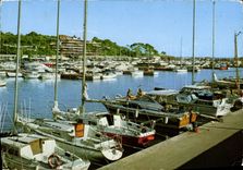 MODERN CARD Holy Raphael the new Marina