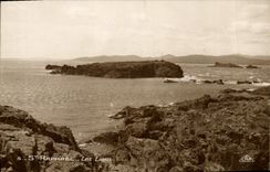 MODERN CARD Holy Raphael Lions