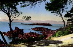 CPM Saint Raphael Le Lion de Terre