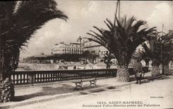 CPA Saint Raphael Boulevard Felix Martin entre les Palmiers
