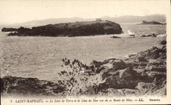 CPA Saint Raphael Le Lion de Terre et le Lion de Mer vus de la Route de Nice