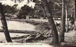 CPA Saint Raphael Sous bois La Plage Gendarme