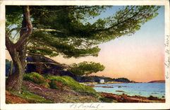 POSTAL de la VENDIMIA la dimensión de Raphael santo del azul el león de tierra y la playa