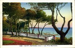 CPA Saint Raphael Les Pins Maritimes