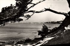 CPA Saint Raphael Vue sur la ville et le golfe de Frejus