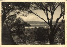 VINTAGE POSTCARD Holy Tropez Seen towards Sainte Maxime