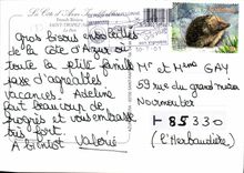 POSTAL MODERNA Tropez santo los barcos portuarios