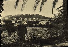 VINTAGE POSTCARD Holy Escaped Tropez