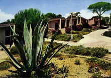 CPM Sainte Maxime Hotle Maxima 2000 Les Bungalows