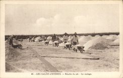 CPA Hyeres Les Sains La Recolte du Scel le roulage 