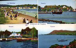 CPA Environs de Toulon Les Sablettes Tamaris 