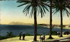 MODERN CARD Toulon Mourillon the Boulevard Frederic Mistral