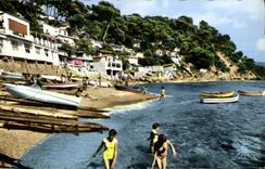 CPM Toulon Le pin de Galle