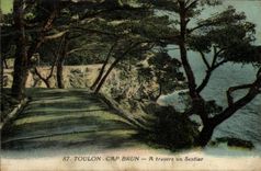 VINTAGE POSTCARD Toulon Cape Brown Through a Path