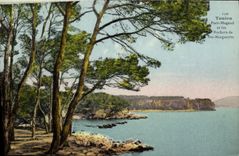 VINTAGE POSTCARD Toulon Port Magaud and Rocks of co. Marguerite