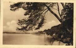 VINTAGE POSTCARD Toulon the Brown Cape Sight of the Beach