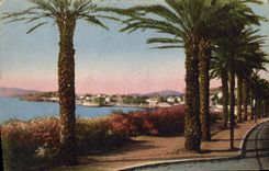 VINTAGE POSTCARD Toulon Boulevard of the littoral palm trees