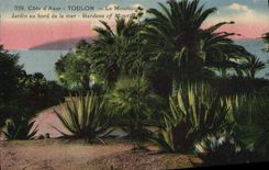 CPA Toulon Le Mourillon Jardin au bord de la mer 