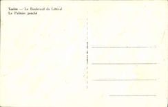 CPA Toulon Le Boulevard du Littoral Le Palmier penche