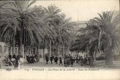 VINTAGE POSTCARD Toulon the Place of Freedom Under the Palm trees Children