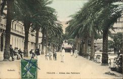 VINTAGE POSTCARD Toulon Gone of the Palm trees (chart toilee)
