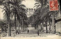 CPA Toulon Allee des Palmiers Place de la Liberte 