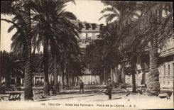 CPA Toulon Allee des Palmiers Place de la Liberte 