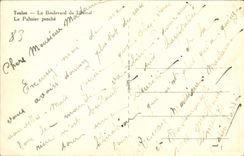 CPA Toulon La Boulevard du Littoral Le Palmier Penche 