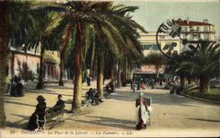 VINTAGE POSTCARD Toulon the Place of Freedom Palm trees