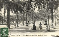 VINTAGE POSTCARD Toulon Gone of the Palm trees in front of the Large Hotel