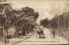 VINTAGE POSTCARD Toulon Boulevard of the Mourillon Littoral
