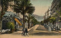 CPA Toulon L'Avenue Colbert