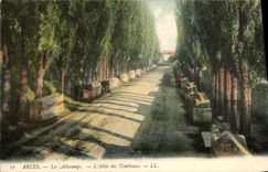 CPA Arles L'Allee des Tombeaux Les Aliscamps