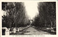 CPA Arles Sur Rhone Les Alyscamps Allee Des Tombeaux